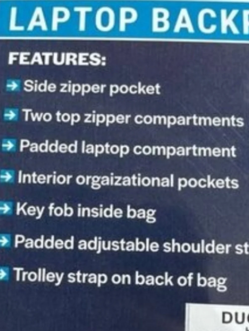 Duchamp Rubberized Snow Minimalist Laptop Backpack